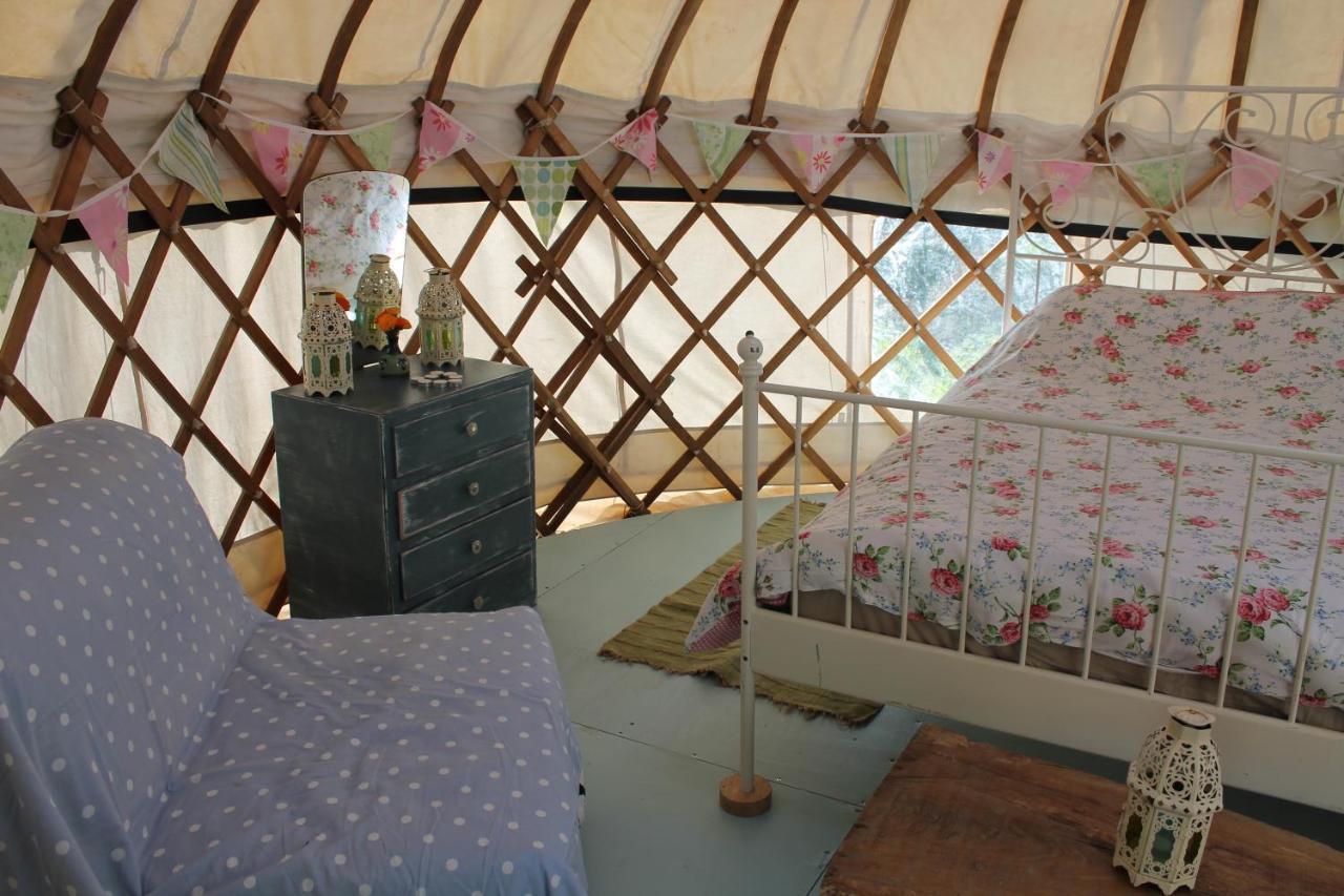 Mill Haven Place Glamping Yurt 3 哈佛威斯特 外观 照片
