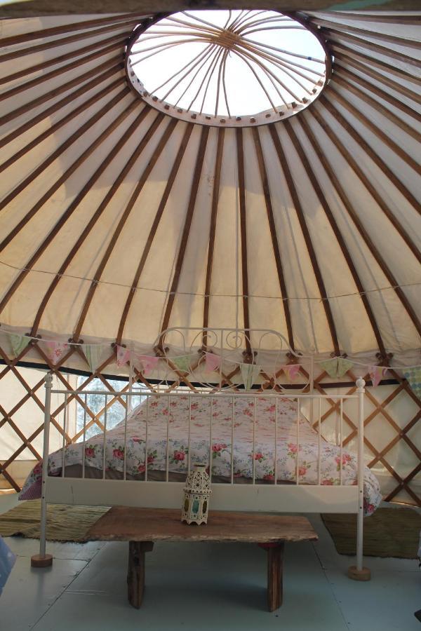 Mill Haven Place Glamping Yurt 3 哈佛威斯特 外观 照片