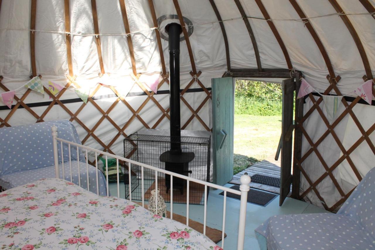 Mill Haven Place Glamping Yurt 3 哈佛威斯特 外观 照片